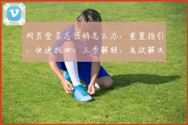 网页登录忘密码怎么办，重置指引，快速找回，三步解锁，高效解决