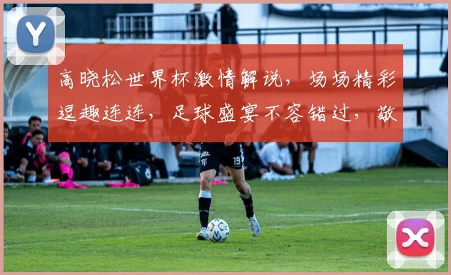 高晓松世界杯激情解说，场场精彩逗趣连连，足球盛宴不容错过，敬请关注