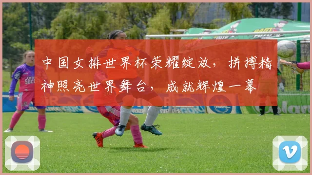 中国女排世界杯荣耀绽放，拼搏精神照亮世界舞台，成就辉煌一幕
