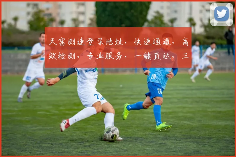 天富测速登录地址，快速通道，高效检测，专业服务，一键直达，三步登录，体验无忧，安全可靠。