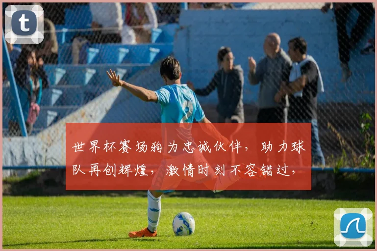 世界杯赛场狗为忠诚伙伴，助力球队再创辉煌，激情时刻不容错过，一起见证