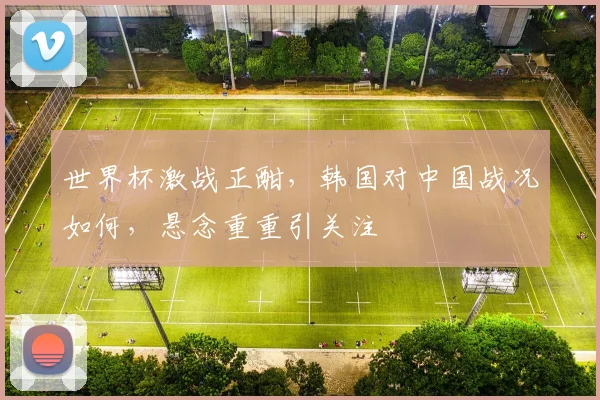 世界杯激战正酣，韩国对中国战况如何，悬念重重引关注
